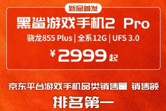 幸运福猫带来好运